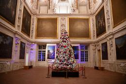 Torino fa il pieno nei musei: oltre 45 mila visitatori nel ponte dell’Immacolata