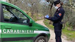 I carabinieri forestali contro il bracconaggio: tre crani di lupo trovati in un'abitazione nel tortonese