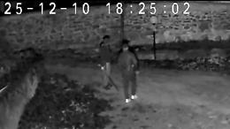 Valsusa, ladri armati di bastone messi in fuga da cani e fari di sicurezza: colpi a Vaie e Condove