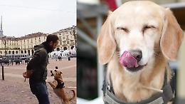 Valerio Minato e Polenta: il fotografo torinese racconta la sua compagna di avventure a Doggodaily