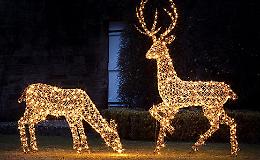 Natale amaro e Lessolo, sparisce la renna luminosa