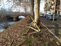 Lungo Dora Napoli, staccionata rimossa: per il Comune l&rsquo;intervento non &egrave; prioritario