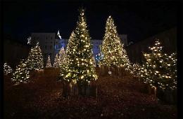 Torino tra arte e cultura: ecco i musei aperti durante le feste 