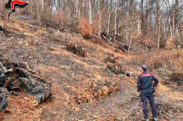 Coassolo Torinese: denunciato il presunto responsabile dell&rsquo;incendio boschivo