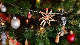 Piante e simboli del Natale: dall&rsquo;Agrifoglio all&rsquo;Abete