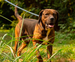 Non era desiderato, stava per fare "una brutta fine". La storia di Lenny