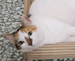 E' uno spirito libero in cerca d'amore