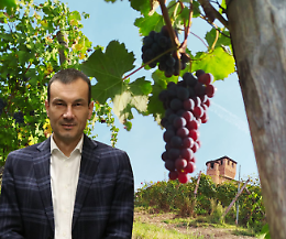 Terre del Barolo, ricavi per 22 milioni e svolta green: "Cos&igrave; il vino torna al suo valore sociale"
