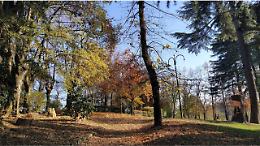 Bra, parte la nuova manutenzione del verde: potature, sostituzioni e aiuole in ordine