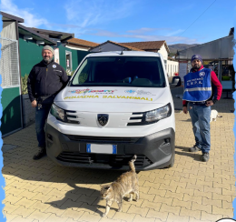 Queste figurine "salvano" gli animali di Torino