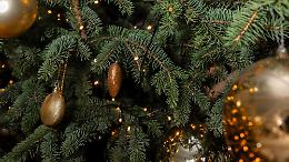 Il Presepe Vivente di Chivasso attira migliaia di persone