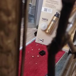 Torino, furto in via Po: ladri nella farmacia degli Stemmi, portato via il fondo cassa