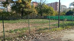 Giardini Maiocco, polemica sulle aree cani