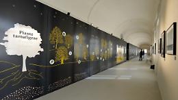 Alba, il Museo del Tartufo entra in una nuova fase: firmata la convenzione con il Centro studi