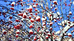 Meteo Piemonte, temperature polari in montagna: 17 gradi sotto lo zero a Sauze di Cesana