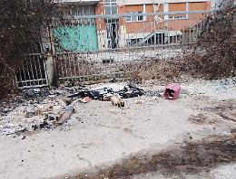 Nichelino, Capodanno devastante: colonia felina distrutta tra botti e roghi