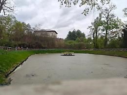 Moncalieri, nuove luci al Bosco del Re: 54 corpi illuminanti