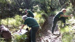 Torino, il volontariato ambientale in numeri: oltre 26 mila ore nel 2025