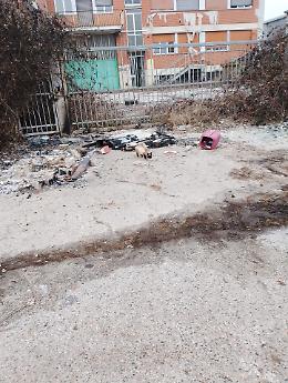 Nichelino, colonia felina devastata a Capodanno: la denuncia ai carabinieri