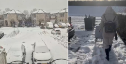 Torinesi bloccati in Olanda: un'odissea di 13 giorni 