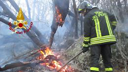 Incendio boschivo a Condove: fiamme domate grazie all&rsquo;intervento coordinato dei soccorsi