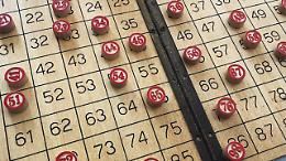 Piobesi, una tombola solidale per sostenere i cani guida