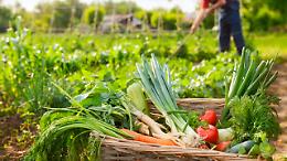 Piemonte, 17,6 milioni per la trasformazione agroalimentare