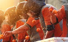 Carnevale di Ivrea, arance pulite contro il caporalato: firmato il protocollo in Prefettura