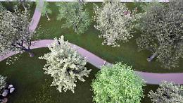 Bra: al Belvedere un percorso botanico per combattere la CO2