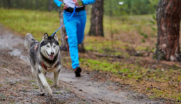 Il Canicross arriva nel Torinese: ecco cos'&egrave;