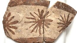 Quando i fiori parlano di numeri: le ceramiche preistoriche che anticipano la matematica