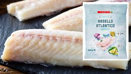 Despar richiama un lotto di filetti di nasello surgelati per rischio corpi estranei