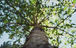 Bra, nuova vita per il Giardino del Belveder