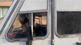 Chiusi in un camper tre piccoli cani: &laquo;I rom li vendono sul tram a 50 euro&raquo;