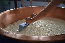 Latte in crisi, ma l&rsquo;Italia risponde: accordo storico per tutelare gli allevatori