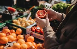 Carmagnola, torna la fiera primaverile: la storia agricola che guarda al futuro