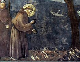 San Francesco, un uomo e molti sguardi: l&rsquo;arte e la cultura si incontrano alla serata di Aregoladarte