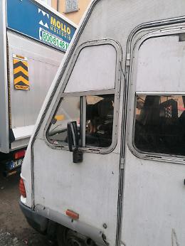 Chihuahua chiusi per giorni in camper, l&rsquo;allarme: &laquo;Non sono casi isolati&raquo; 