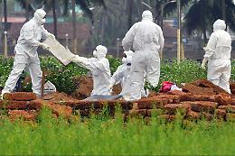 Virus Nipah: nuovi casi, sintomi e precauzioni da conoscere