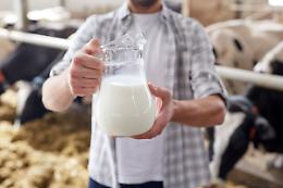 Influenza aviaria: scoperti anticorpi in una mucca da latte