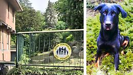 Raffica di furti in collina, un ladro mutilato da un cane