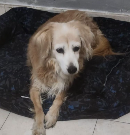 La "nonnetta" pi&ugrave; dolce che ci sia,  soffre di solitudine