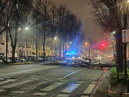 Linea 15 deviata in entrambe le direzioni per una caduta di albero
