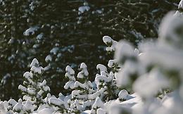 Mondov&igrave;, scatta lo stop per la neve: scuole chiuse domani 