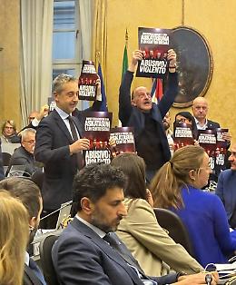 Anche la moglie di Calderoli (Lega) al corteo Aska: &laquo;Ero l&igrave; per osservare&raquo;