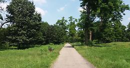 Nichelino, il Parco del Boschetto: al via il cantiere europeo per il bosco urbano