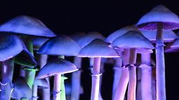 Funghi psichedelici contro la depressione: prima paziente italiana trattata con psilocibina