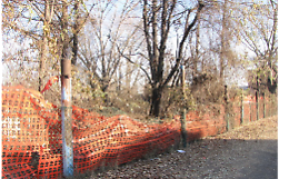 Torino, sit-in il 13 febbraio nei quartieri Barca e Bertolla