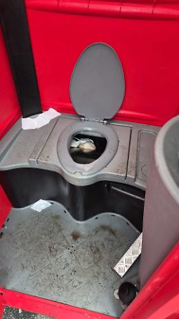 Bagni off-limits per i lavoratori del Gtt: &laquo;Sono latrine. Condizioni insostenibili&raquo;