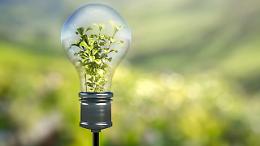 Grugliasco spegne le luci per accendere la consapevolezza